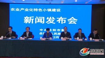 岳阳最新新闻爆料网,揭秘岳阳本土热点事件! 第1张 岳阳最新新闻爆料网,揭秘岳阳本土热点事件! 第1张