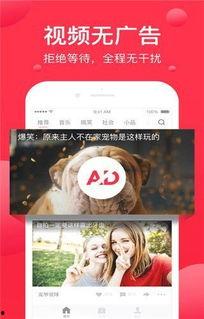 娱乐吃瓜酱奶茶视频下载,揭秘网红奶茶制作全过程  第3张